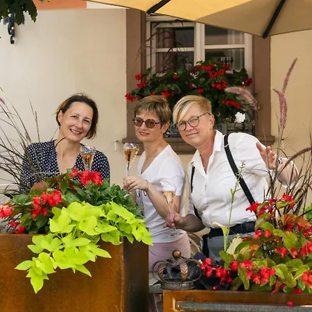 La Couronne A Wissembourg